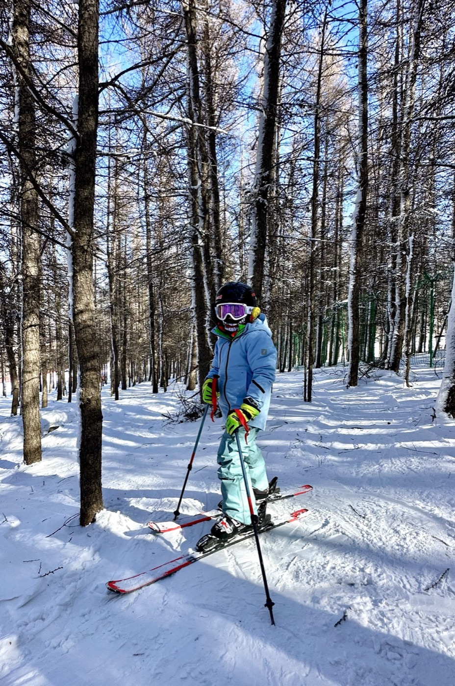 阿尔卑斯式林间滑雪 · 反季愿景